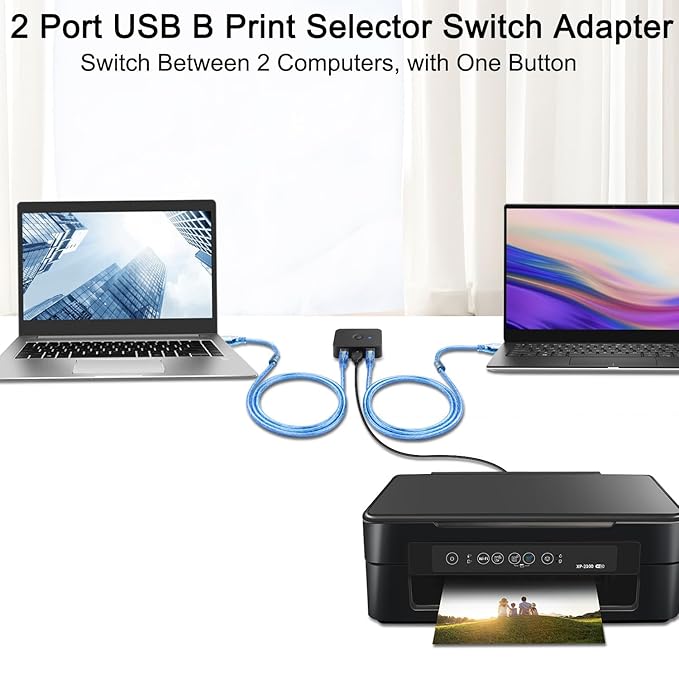 Technotech USB Switch 2 Port Technotech Technologies