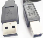 HP Printer Cable 1.5 Mtr (Black)